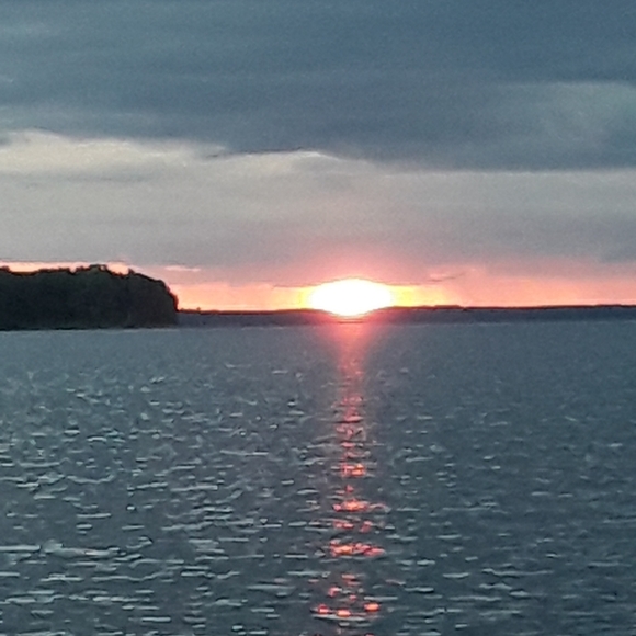 Sexy Shorts PreLoved Fabulously nobo Denim Capri - Picture 16 of 16